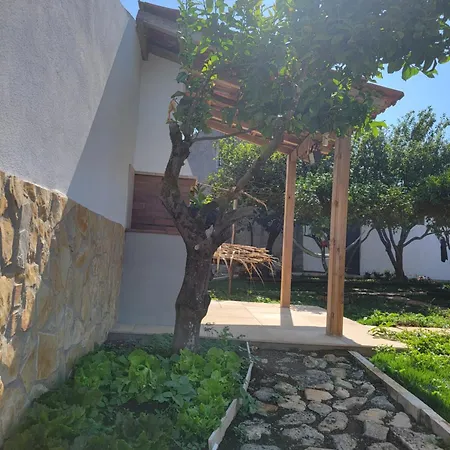 Ferienhaus Adega Dos Avos - Casa Completa